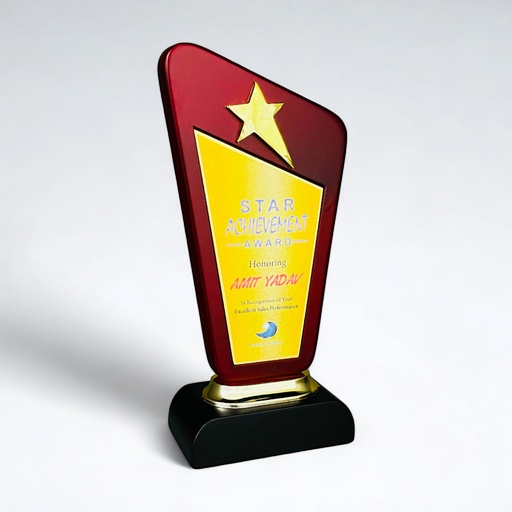 Wood & Metal Trophy WM 9729